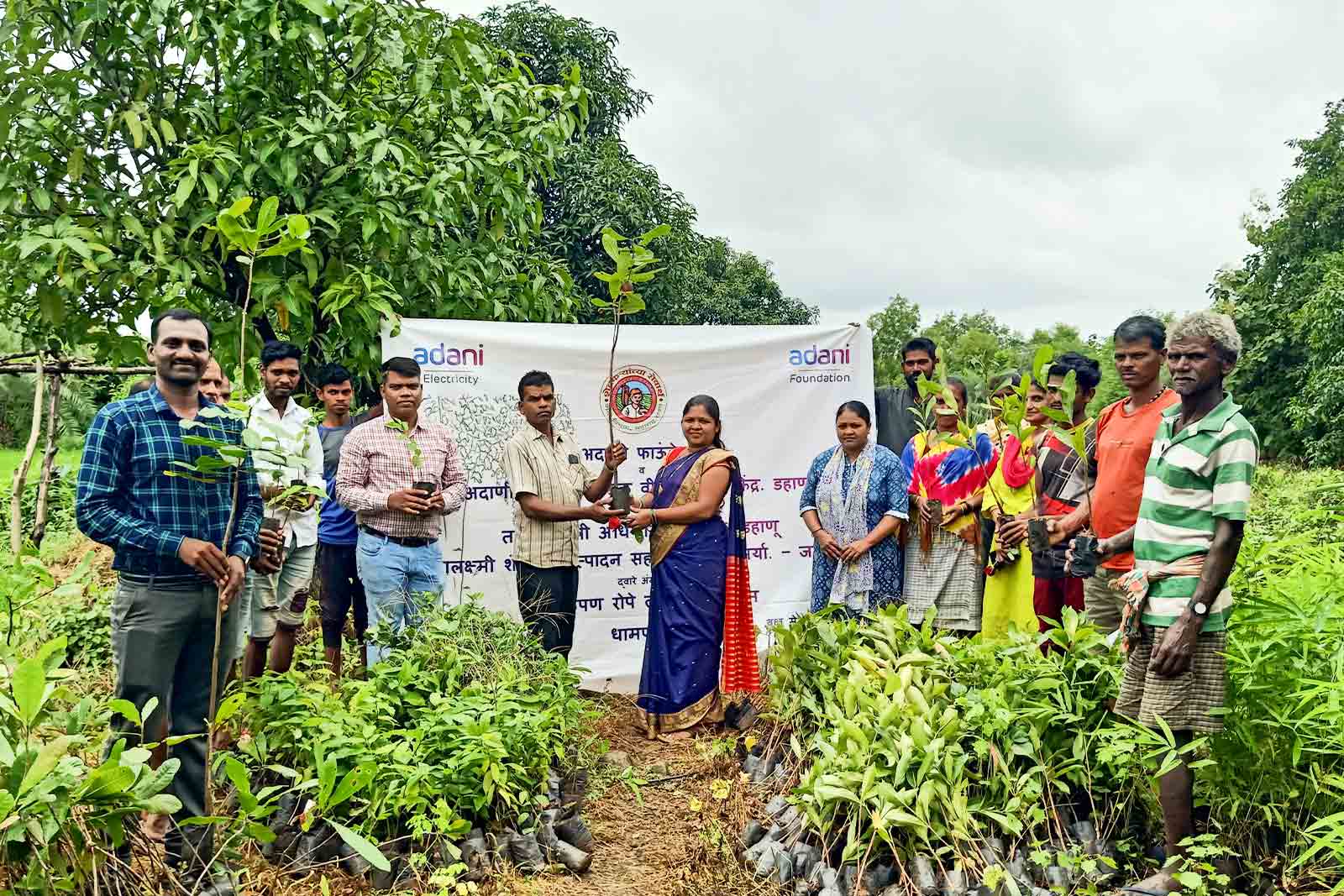 Planting prosperity with farmers