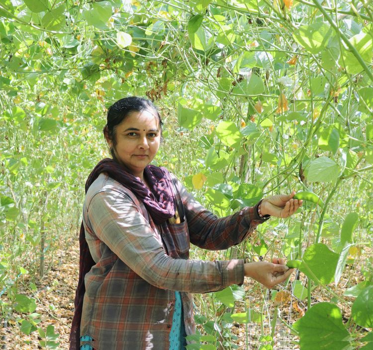 How Jyoti transformed the fortunes of her farm